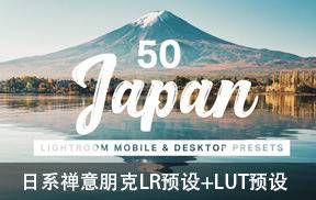 城市旅拍日系禅意朋克LR预设+LUT预设