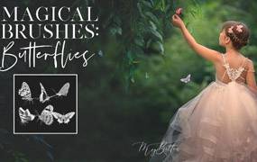 蝴蝶PS笔刷 Meg Bitton