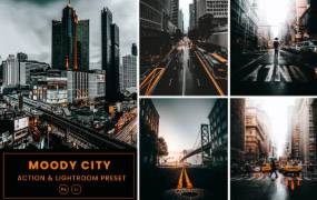 穆迪城市PS动作和 PS/LR预设