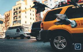 lr预设罪恶之城电影视觉特效总监斯图马斯维茨35组LR预设