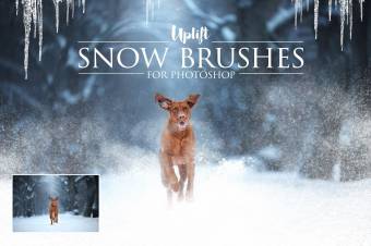 冬天雪地雪景后期PS笔刷 25 SNOW BRUSHES FOR PHOTOSHOP