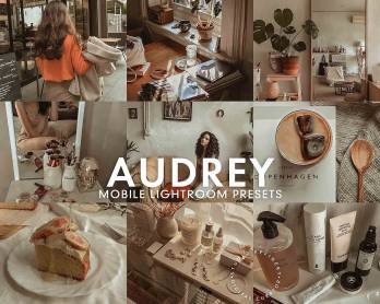 lr预设莫兰迪灰色调LR预设/APP调色滤镜 5 AUDREY Mobile Lightroom Presets