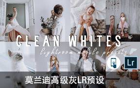 lr预设莫兰迪高级灰LR预设