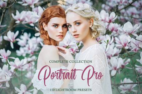 lr预设明亮通透时尚人像后期Lightroom预设  Portrait Pro Complete Collection