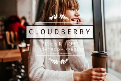 Ins风格冬季明亮Lightroom胶片预设