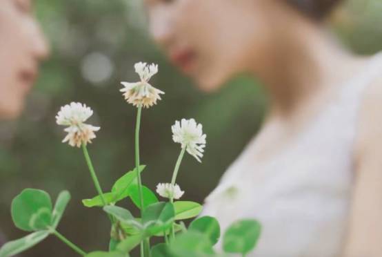 婚纱照外景引导摆姿+520张韩国少女街拍pose美姿全集500张