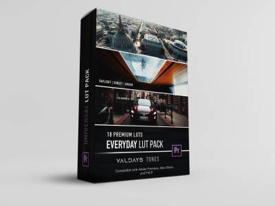 电影级LUTS调色预设Valdaysfilm – Everyday LUT Pack