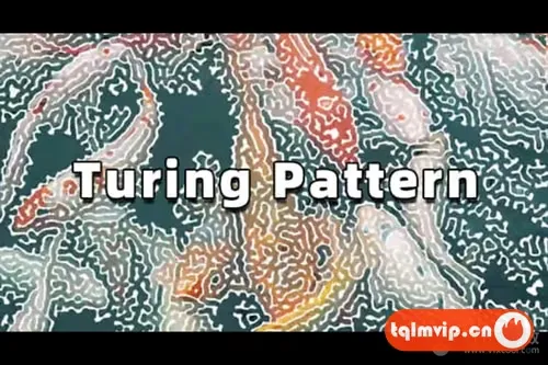 [AE插件]中文汉化-版-创意抽象图灵纹理效果AE插件 Turing Pattern v1.1 Win