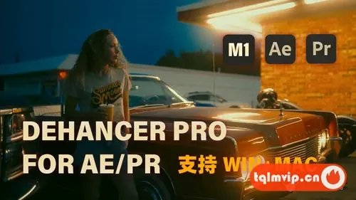 [AE/PR插件]胶片电影模拟 AE/PR插件Dehancer Pro OFX for V7.1.1 Win系统