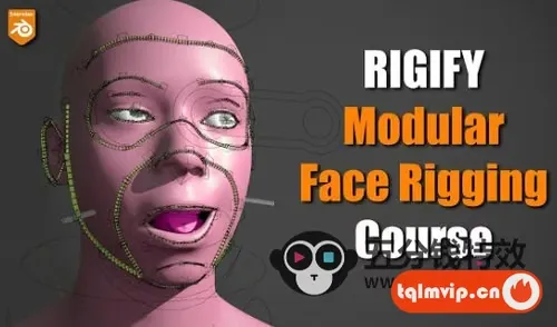 Blender人物角色面部表情绑定教程 CGDive – Rigify Modular Face Rigging