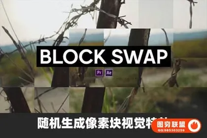 [AE/PR插件]随机生成像素块视觉特效 Block Swap v1.5.0 Ma