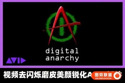 [AVID插件]视频去闪烁磨皮美颜锐化AVID插件 Digital Anarchy AVX bu
