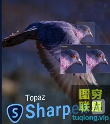 [PS插件]人工智能降噪PS插件 Topaz DeNoise AI 1.1.0 WinX64
