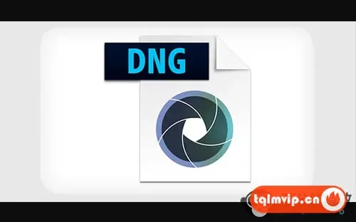 最新 DNG Converter 18.2.2 Win中文版,图片RAW相机照片格式转换器!