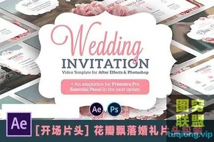 [AE模板] 花瓣飘落婚礼邀请片头包装 Wedding Invitat