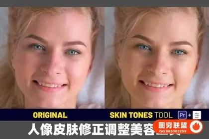 [PR模板]123种人像皮肤修正调整美容工具 Skin Tones Tool