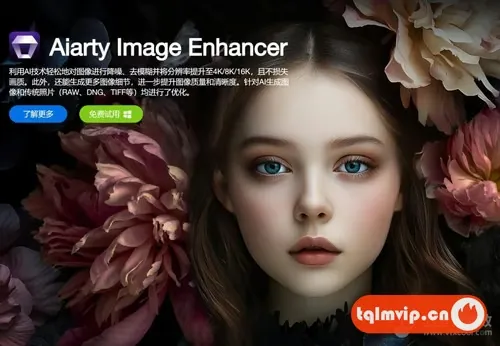 AI人工智能放大降噪美化一键修图 Aiarty Image Enhancer3.3 中文版