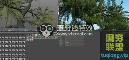 [C4D插件]C4D树木风暴 森林岩石植物树木花草生长动画插件3DQUAKERS Forest