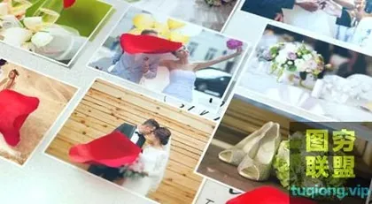 [AE模板]婚礼相册飘落照片墙戒指开场 Wedding