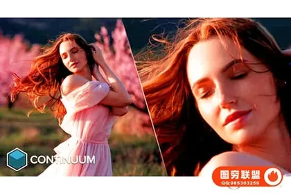 [AE/PR插件]BCC视觉特效和转场AE/PR插件Continuum  v17.0.1 CE W