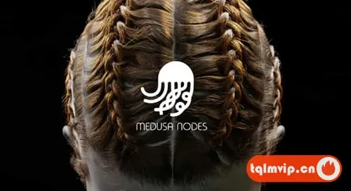 [Blender插件]头发系统程序制作器Medusa Nodes v1.0.5
