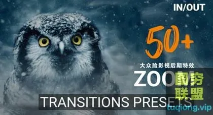 [PR预设]50种高质量独特冲击缩放过渡转场预设 Zoom Transition
