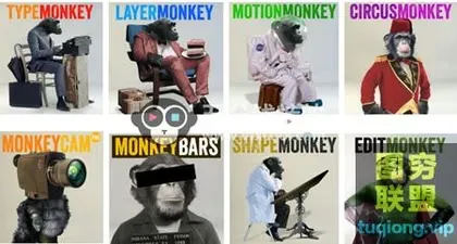 [AE插件]暴力猴子全套插件Monkey Suite Bundle 套装 WIN