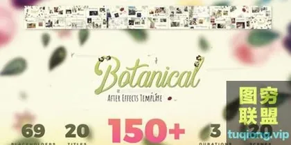 [AE模板]花朵树叶自然婚礼爱情相册照片开场片头!