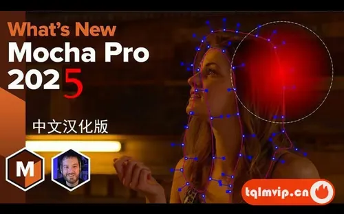 [其它插件]汉化版达芬奇/OFX插件-摄像机反求跟踪摩卡Mocha Pro 2025 v12.0 WIN汉化版