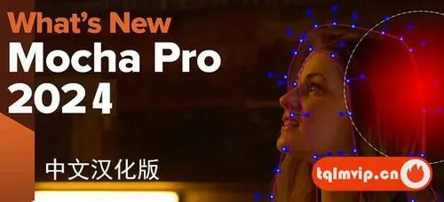 Mocha插件摄像机反求平面跟踪软件 Mocha Pro 2024 v11.5.0WIN汉化版AEPR