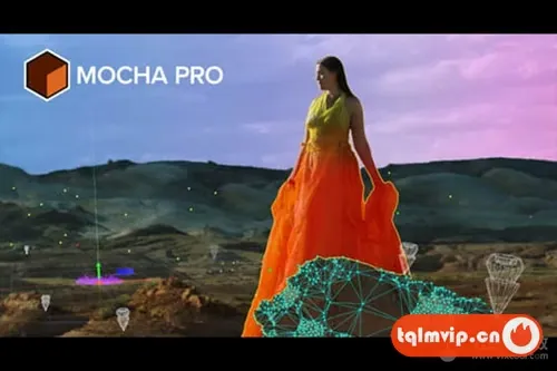 Mocha摄像机反求跟踪软件AE/PR/OFX/达芬奇/AVX插件Mocha Pro 2025 v12.0.0 CE Win