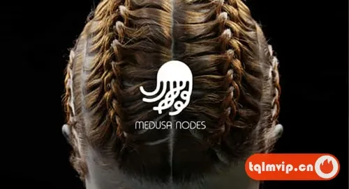[Blender插件]头发系统程序制作器 Medusa Nodes v1.0.4