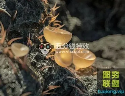 [C4D教程]学C4D有钱途吗?全新C4D基础到大神教程!