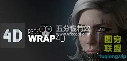 [WIN版软件]拓扑软件-三维模型拓扑软件R3DS Wrap4D v.08.01 Win破解版