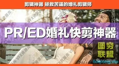 [PR模板]婚礼还能这么剪?婚礼摄影师快速出片利器!