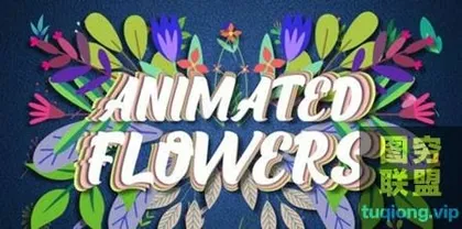 [AE模板]插画花朵枝条动画 Animated Flowers