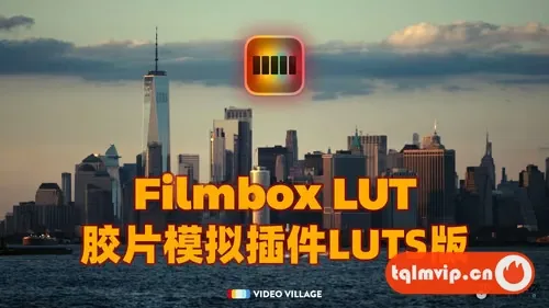 [其它插件]Filmbox Lut 官方完整版电影胶片模拟插件LUT版本+达芬奇DCTL插件