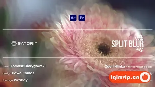 [AE/PR插件]中文汉化-万花筒分割模糊迷幻视觉特效 Split Blur v1.5.0 Win