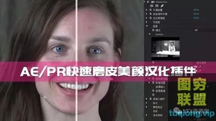 [AE/PR插件]AE/PR快速磨皮插件,一键美颜,中文汉化版!
