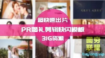 [PR模板]31G超强婚礼快闪模板,拯救苦逼的剪辑师!