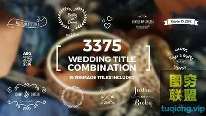 [AE模板]3375种优雅漂亮小清新婚礼文字标题动画包 Elegant Weddi