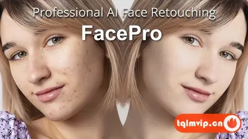 [AE/PR插件]AI人脸修饰遮瑕美颜磨皮AE/PR插件 FacePro v1.0.0 Win中文汉化版