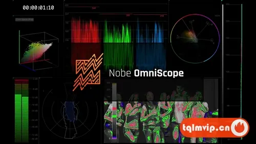 [其它插件]达芬奇/AE/PR/OFX视频调色万能示波器插件 Nobe OmniScope 1.10.166 Win/Mac
