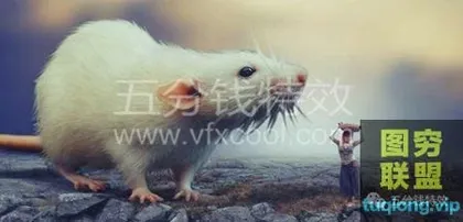 [平面教程]PS高级创意合成教程,看到图片就放弃系列!