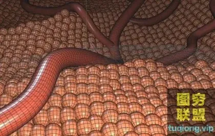 [C4D教程]C4D模拟细胞在血管流动动画视频教程