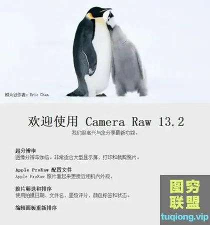 [adobe]Adobe Camera Raw 13.2.0.738 WIN+MAC 完整版安