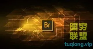[adobe]Adobe Bridgev10.0.1.126_ACR12.1Win系统直装
