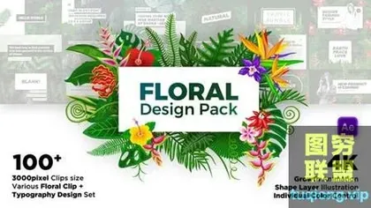 [AE模板]100个绿色花草植物叶子花朵藤蔓视频设计包装 Floral Desig