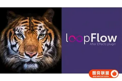 [AE插件]中文汉化AE插件 静态图片局部流动循环动画特效 loopFlow v1.3.1