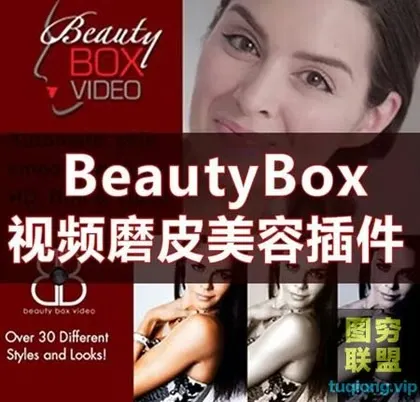[AE/PR插件]Ae/Pr插件人像磨皮润肤美容插件中文汉化 Beauty Box v4.2 wi